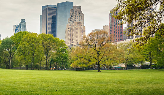 ISO 14001 certificering: milieumanagementsystemen