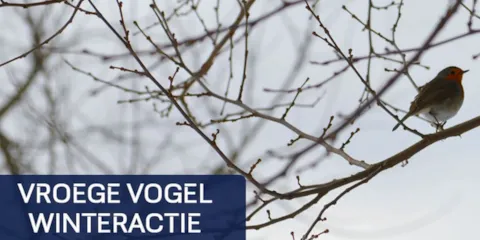 DNV training winteractie 2024