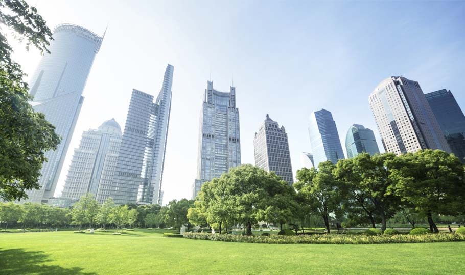 ISO 14001-certificering voor organisaties die werk maken van milieumanagement. 