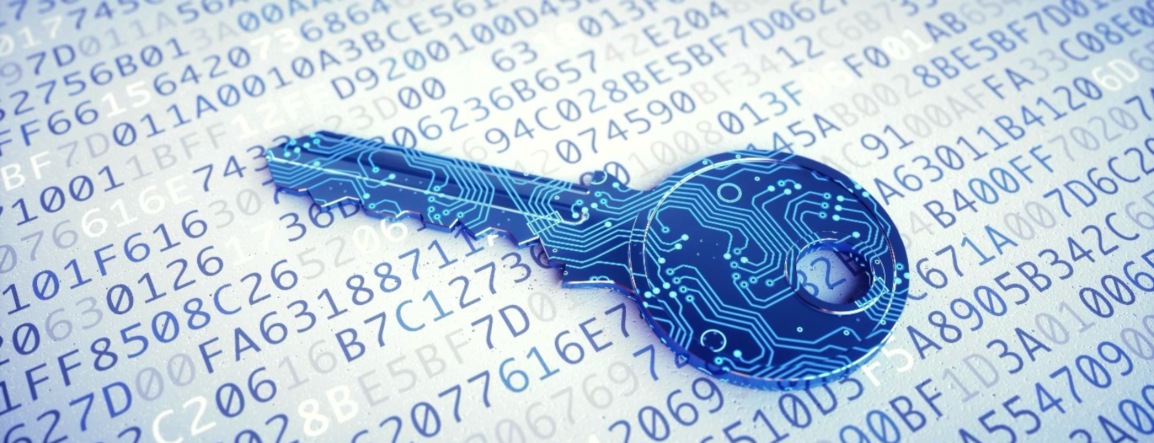 Ethical Hacking Foundation examen