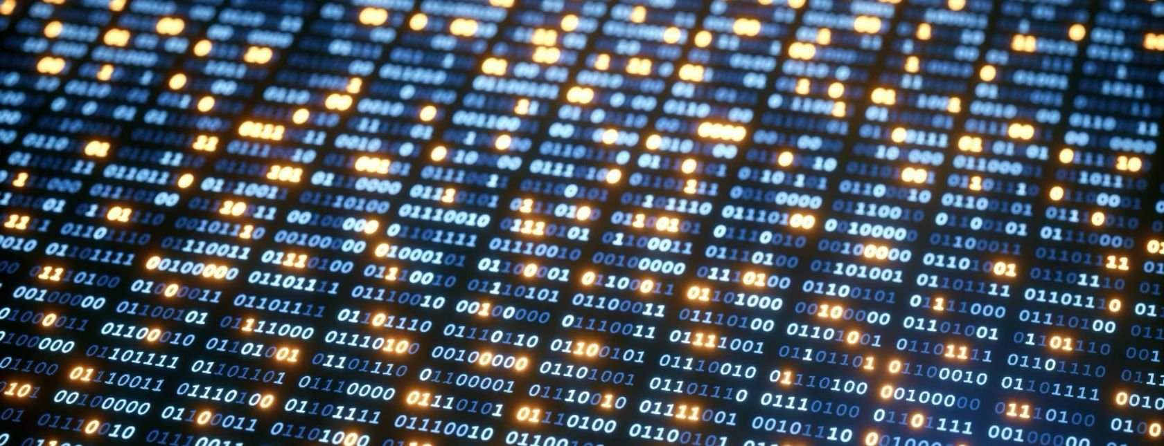 NIS2 Certified Professional