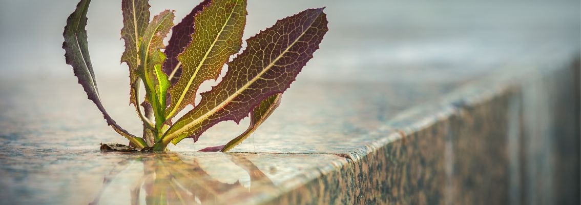 Nieuwe ISO-vereiste ter ondersteuning van de klimaatagenda