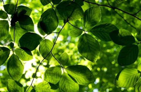 ISO 14001:2015 Requirements eLearning course