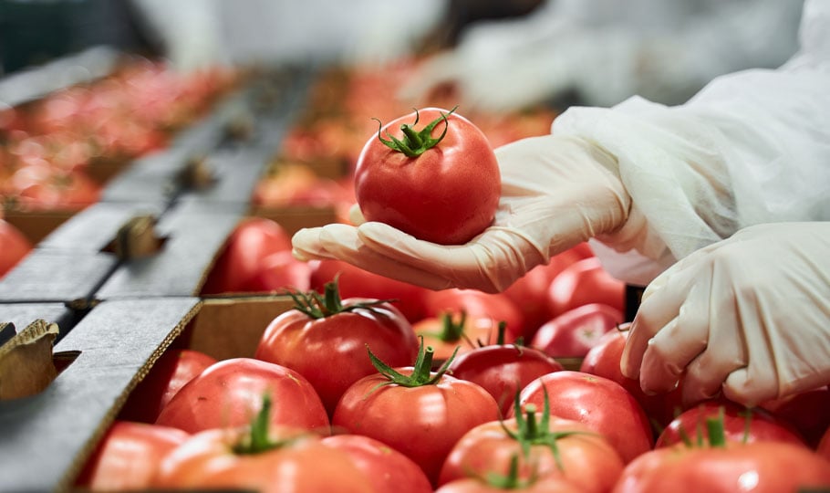 Kwaliteitscontrole van tomaten conform de eisen van BRCGS food-certificering.