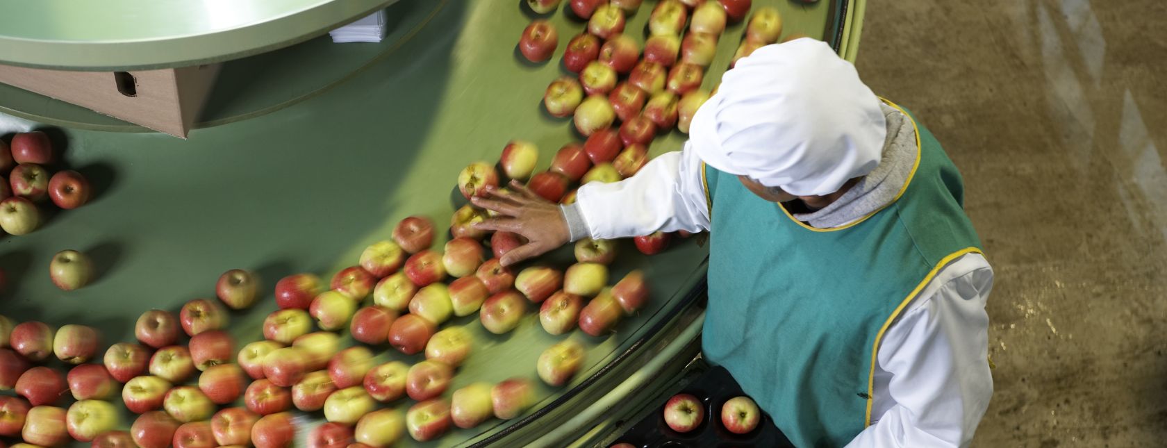 Productiemedewerker sorteert appels in de fabriek