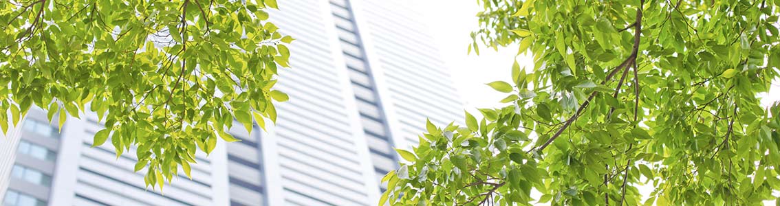 DNV GL Carbon Neutrality Protocol