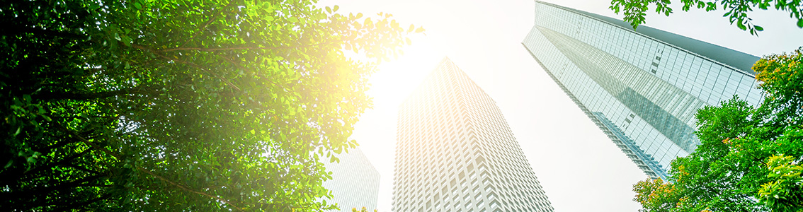 Zijn organisaties toegewijd aan duurzaamheid?