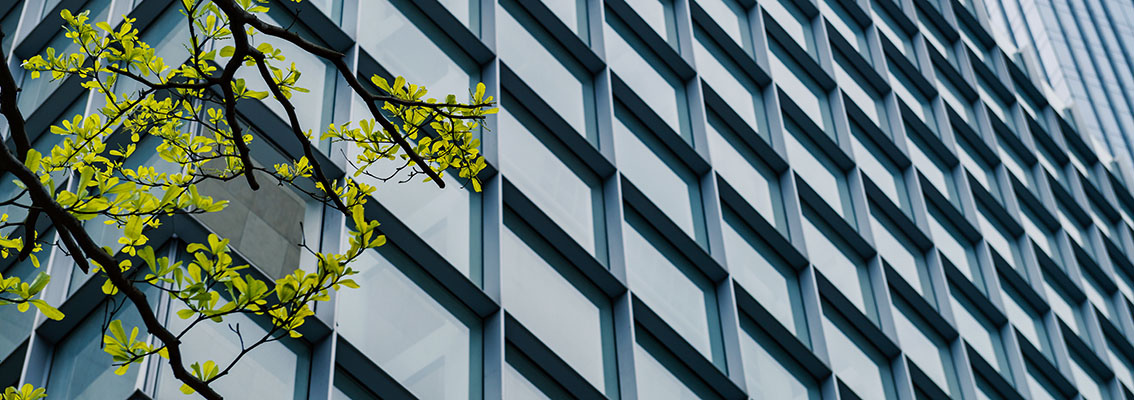 gebouw met boom
