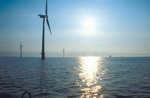 Espresso-enquête: Overzicht van de bevindingen van de energieaudit - infographic (Engelstalig)
