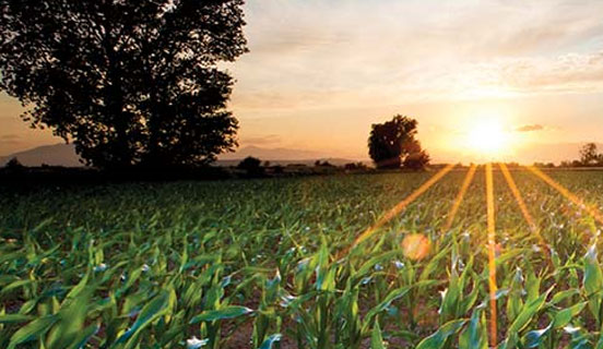 Consumenten vertrouwen in een digitale wereld