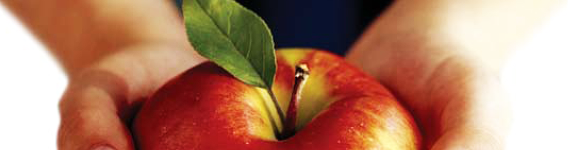 HACCP Training Level 3: HACCP teamleden & Leidinggevende