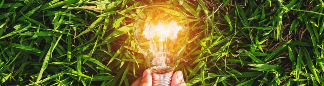 Light bulb in green grass