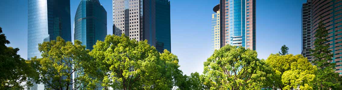 Maatschappelijk Verantwoord Ondernemen