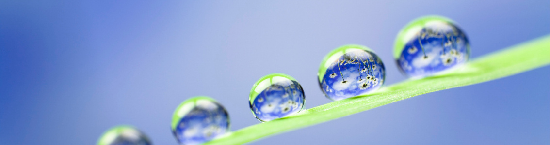 Management van milieumaatregelen