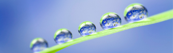 Management van milieumaatregelen