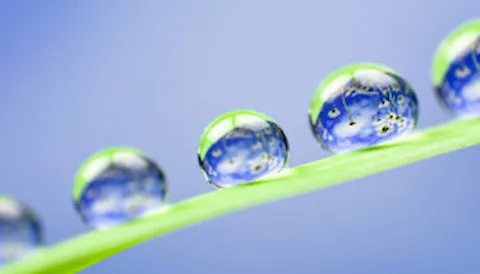 Management van milieumaatregelen