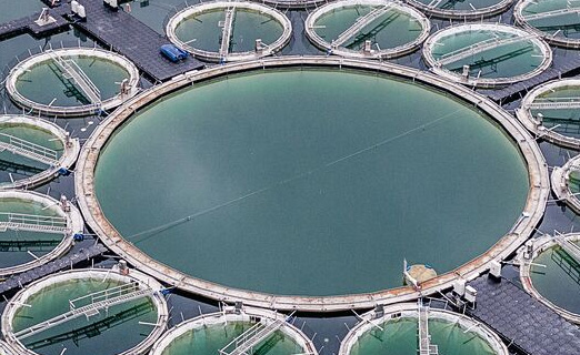 MSC Chain of Custody