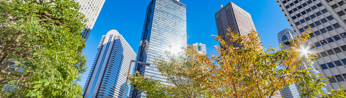 banner mvo prestatieladder