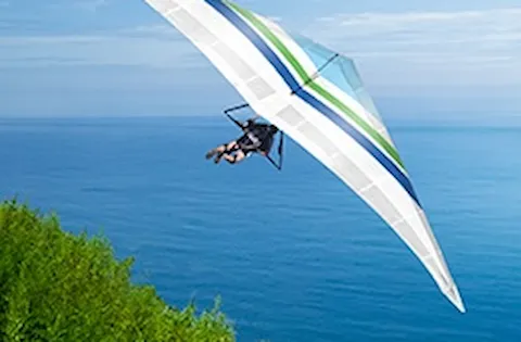 Online self-assessment suite