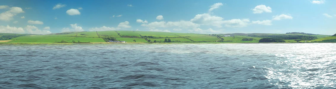 Mexico’s president Enrique Peña