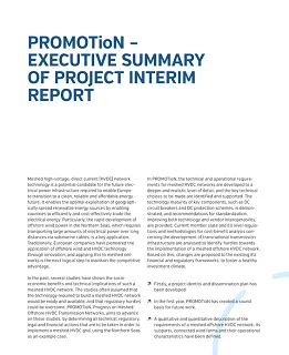 PROMOTioN – executive summary of the interim report