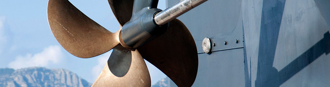 Tail shaft withdrawal can be deferred based on a condition monitoring regime