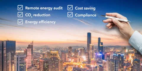 Remote energy audit