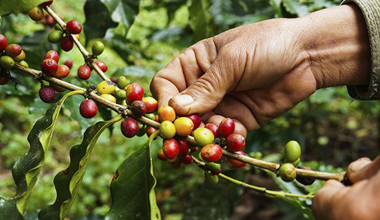 ISO 20400 - Duurzaam inkopen