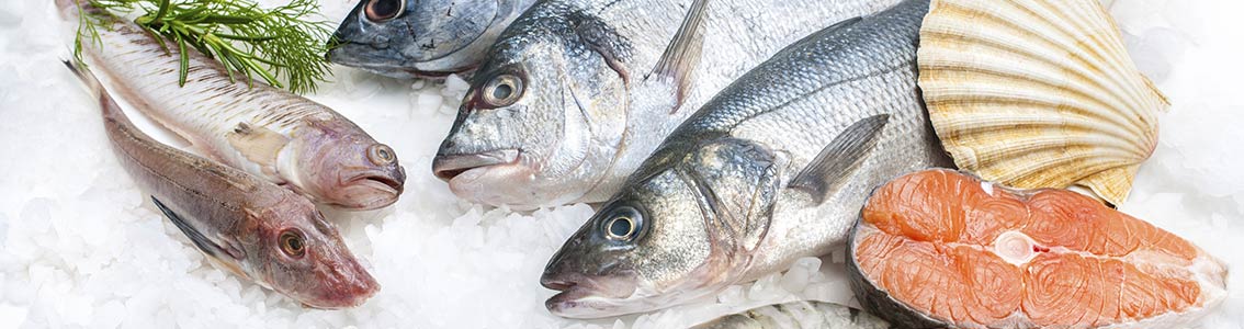 Seafood