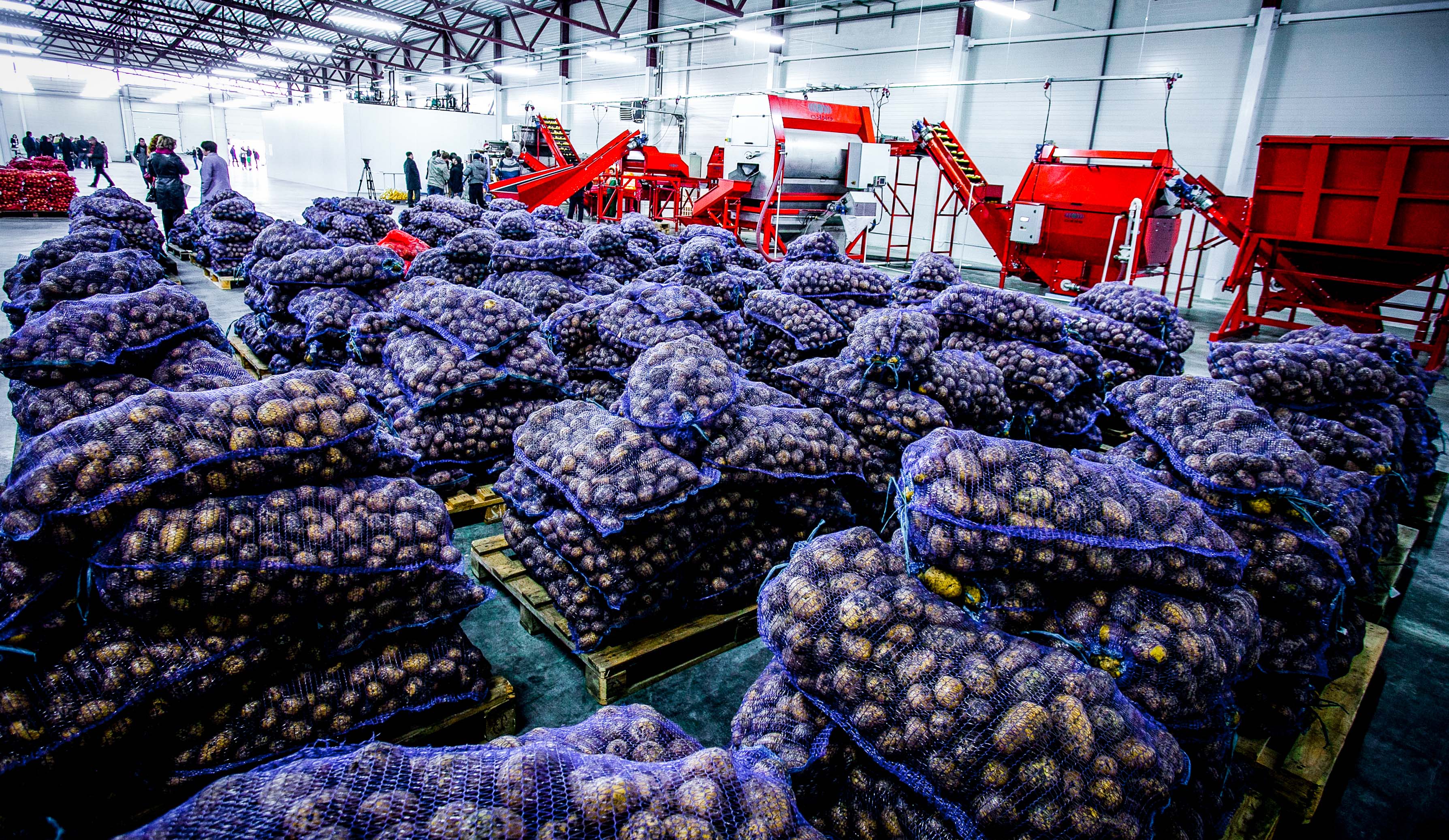 Leverancierskwalificatie