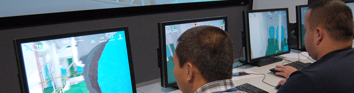 Survey simulator courses