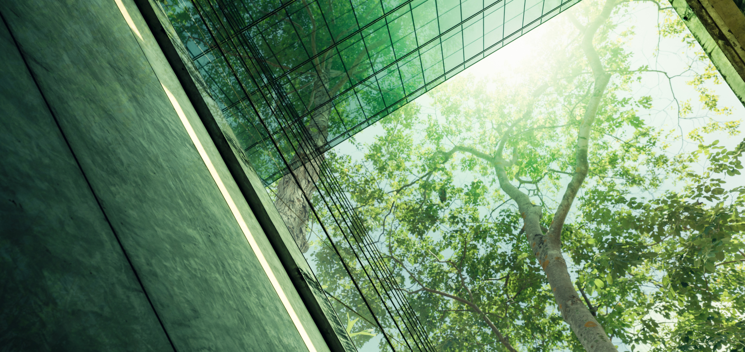 Milieuvriendelijk gebouw in moderne stad