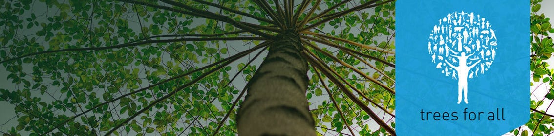 Trees for All banner