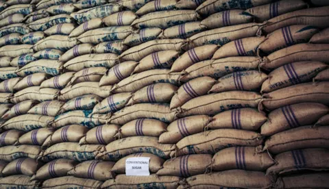 Food provenance: Waar komt ons voedsel vandaan?