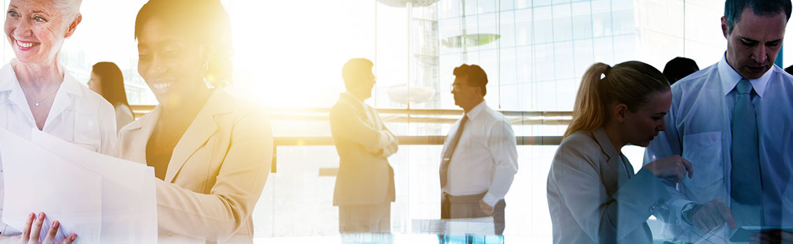 Loopbaanprofessionals en Jobcoaches (Noloc)