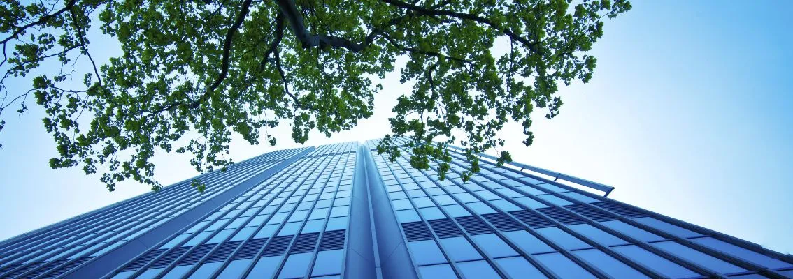 Modern office building and a tree