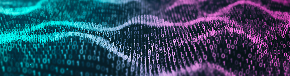 VIPP 5-assessment banner