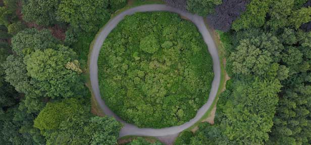 Hoe gaan bedrijven over op de circulaire economie (Engelstalig)