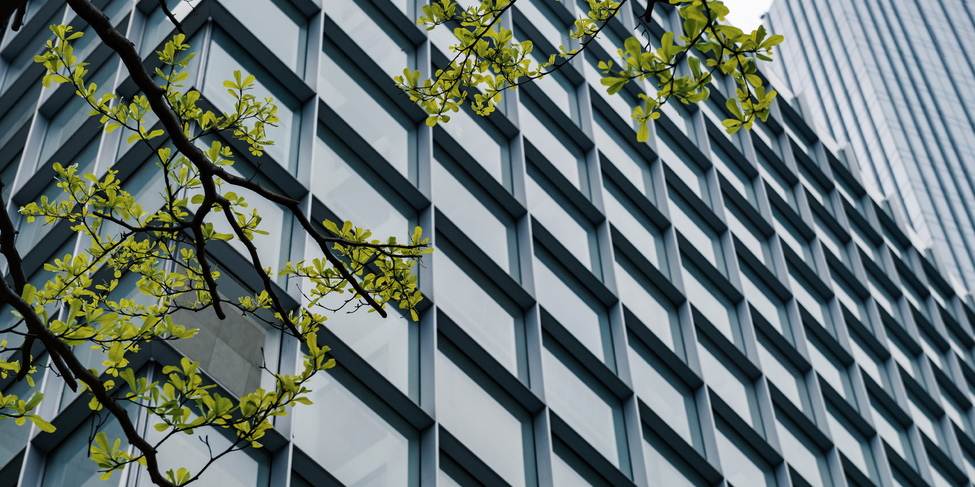 Milieu en energie trainingen